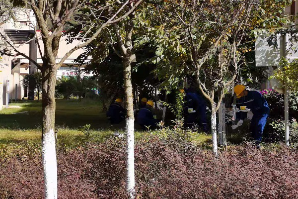 1606787010893872.png 圖片2.png